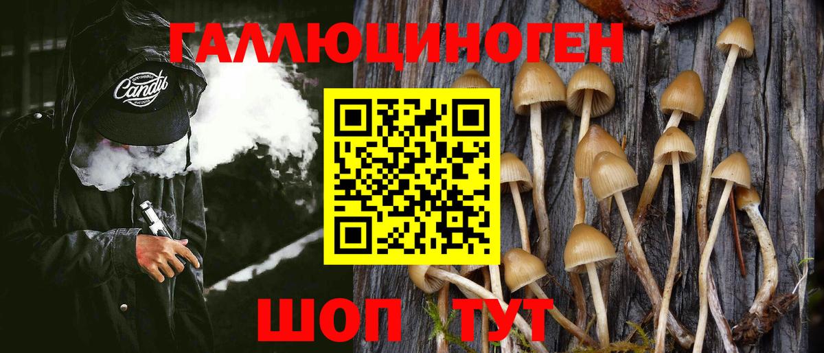 Стерлитамак  Галлюциногенные грибы MAGIC MUSHROOMS  наркошоп  Вход с VPN  Галлюциногенные грибы мицелий 